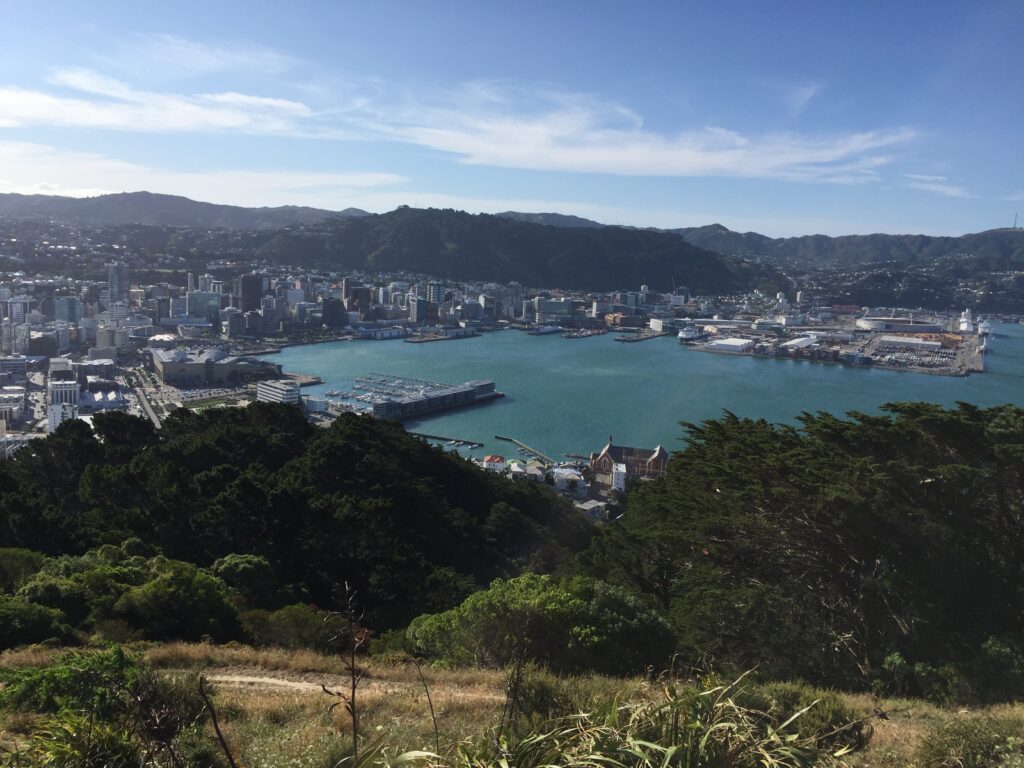 Panorama de Wellington